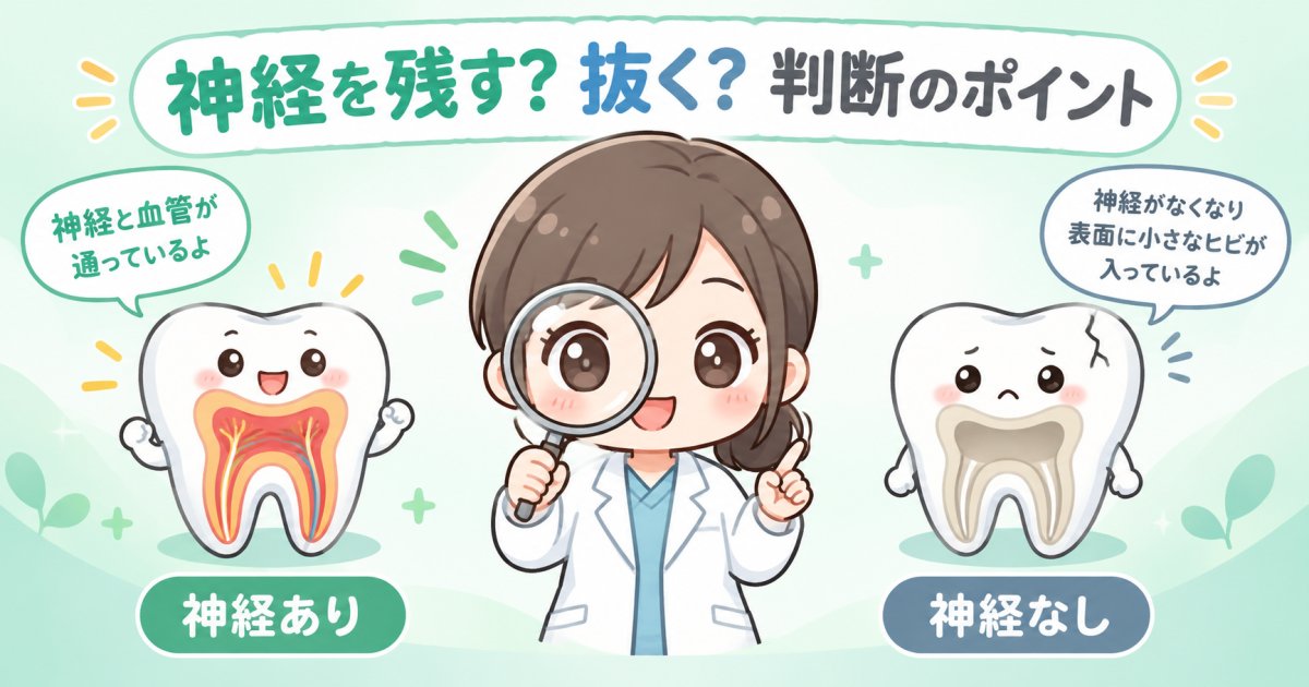 神経を抜いた歯が欠けた経験がある方へ、残す判断基準を解説