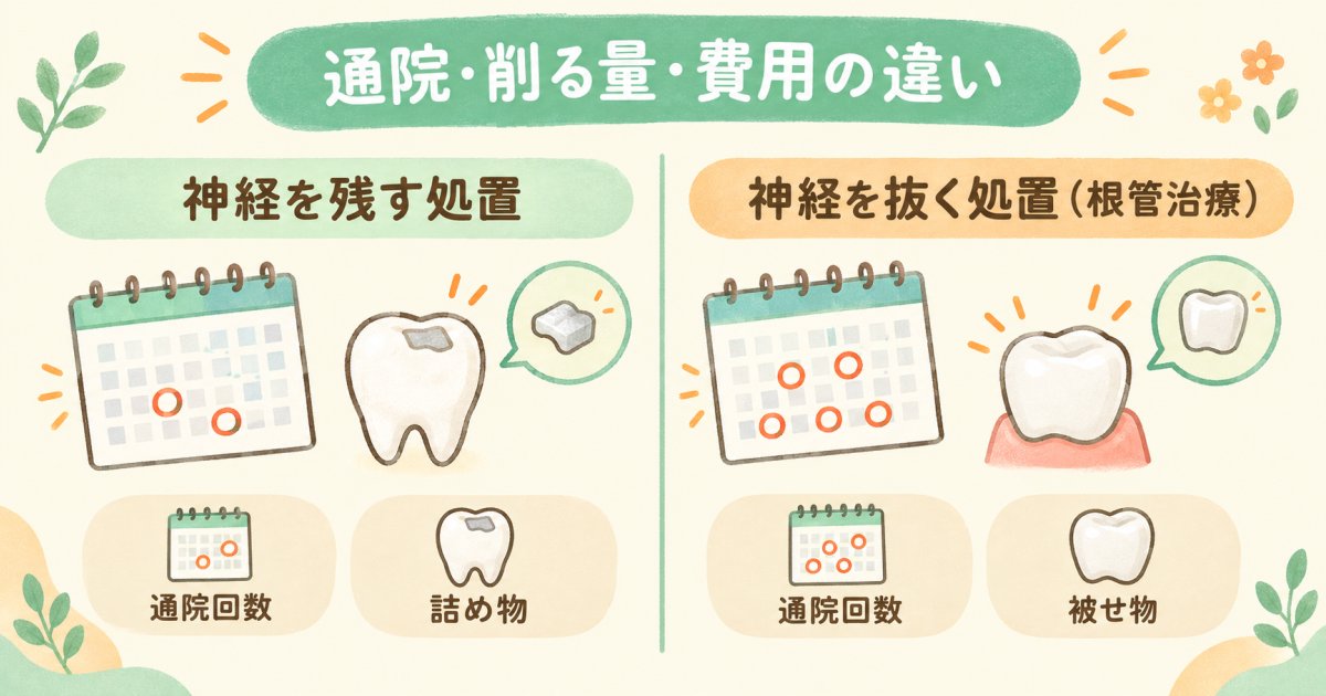神経を残す治療と抜く治療、通院・費用・被せ物の違い